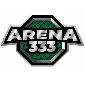 ARENA333 - Permainan Seru Domino Terbaik
